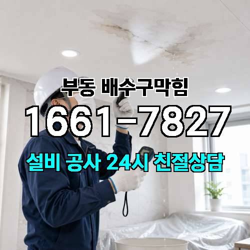 게시판 이미지 2466