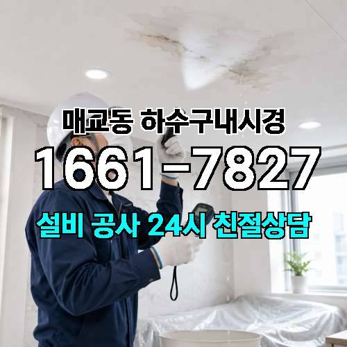 게시판 이미지 301