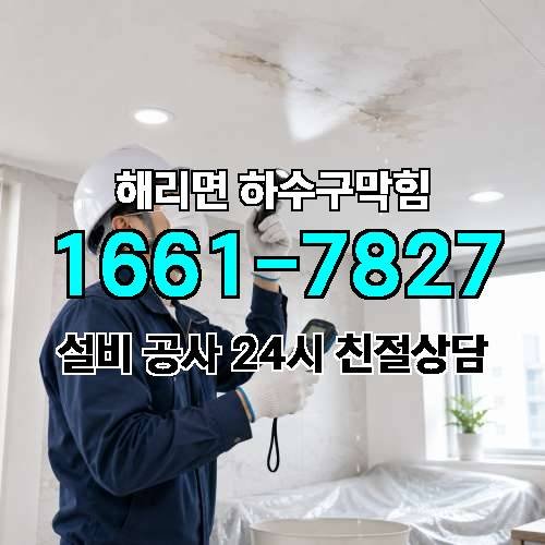 게시판 이미지 3931