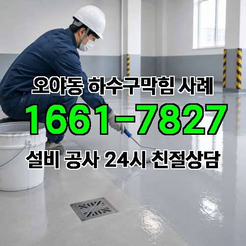 게시판 이미지 244
