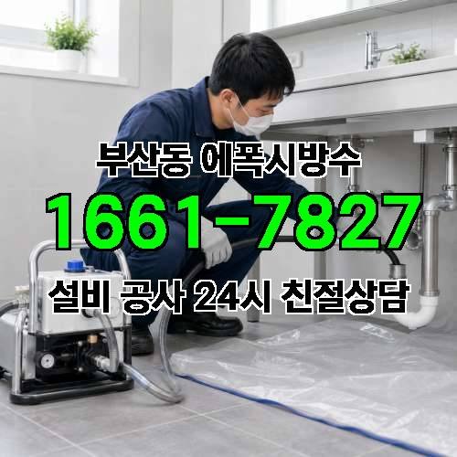 게시판 이미지 524