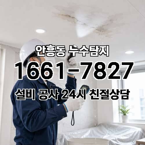 게시판 이미지 626