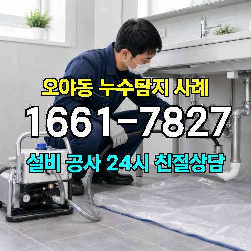 게시판 이미지 244