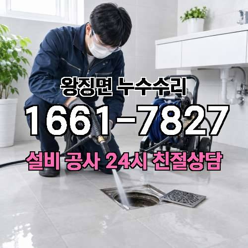 게시판 이미지 508