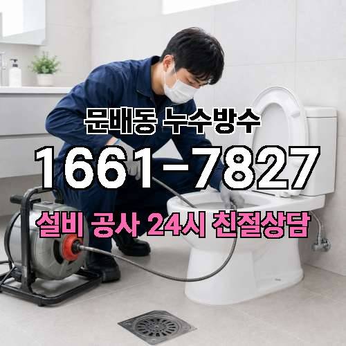 게시판 이미지 1118