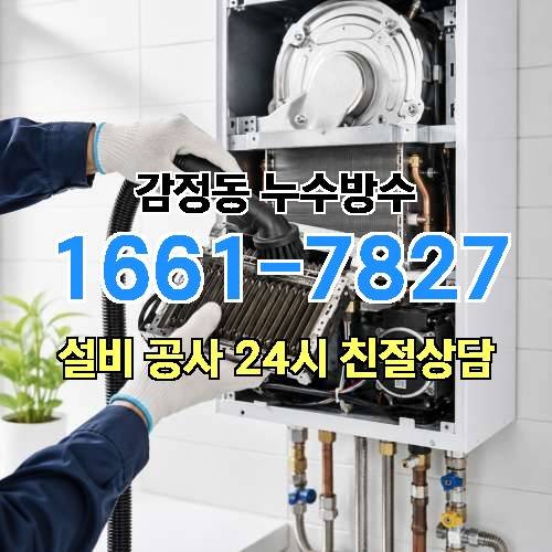 게시판 이미지 241