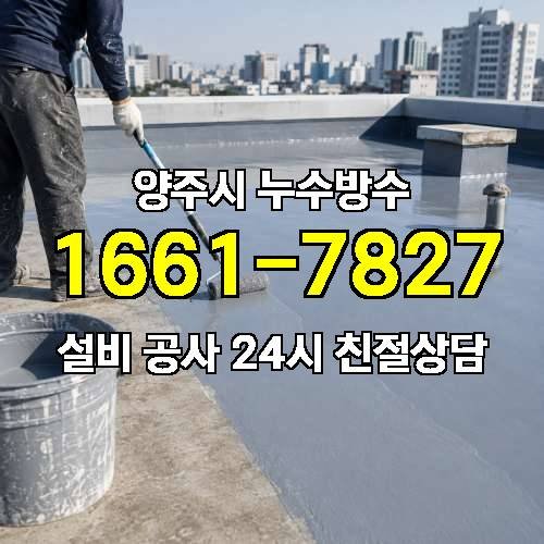 게시판 이미지 542