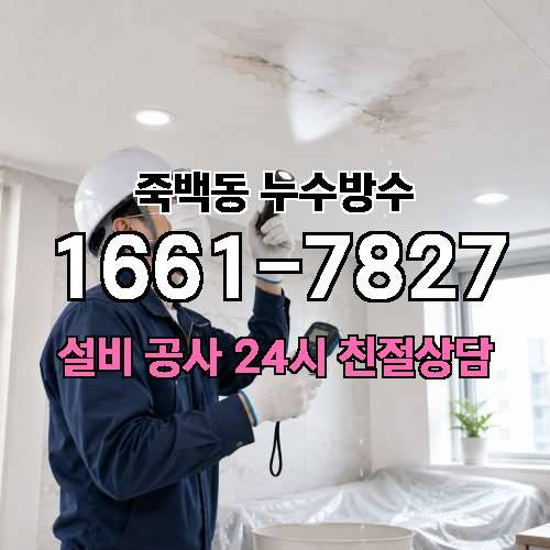 게시판 이미지 805