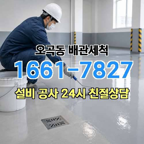 게시판 이미지 1981