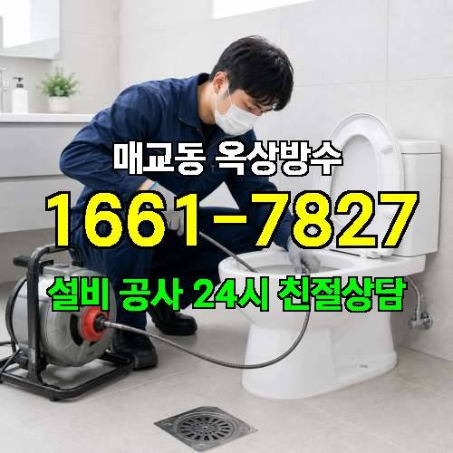 게시판 이미지 301