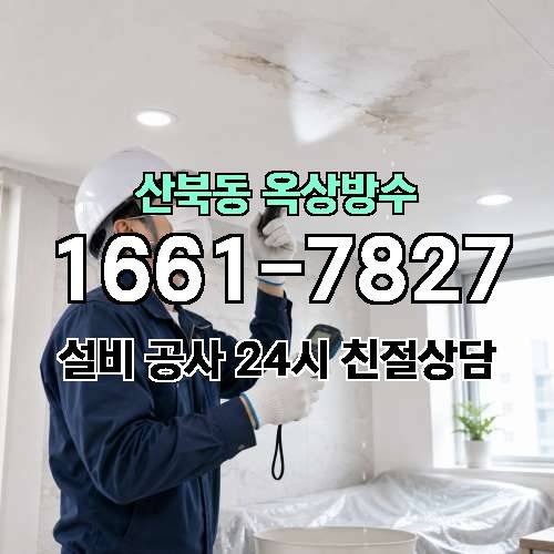 게시판 이미지 446