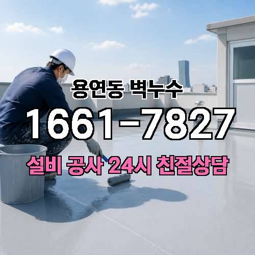 게시판 이미지 4456