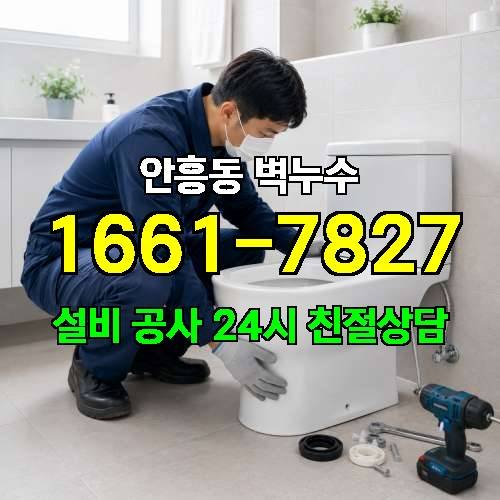 게시판 이미지 487